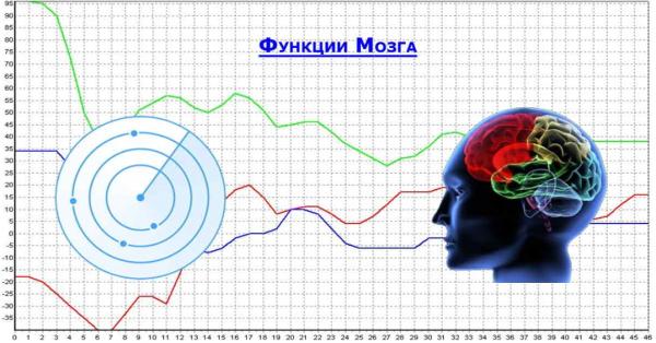 Персональный Тренинг Головного Мозга